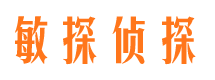 循化侦探调查公司